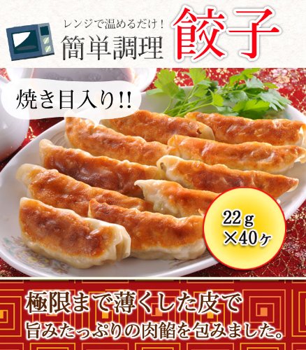 �L�q(�Ă��ړ���) 880g(22g×40��) �y�����W�Ń`���z