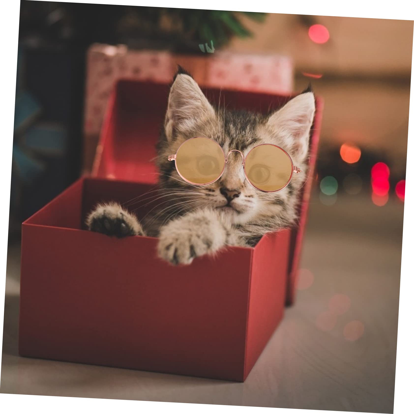 BESPORTBLE 10pcs Pet Dog Puppy Cat Sunglasses Dog Goggles for Small Round Lens Design Comfortable for Kitten and Puppy