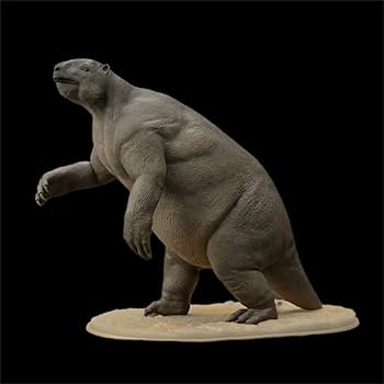 木彫　絶滅哺乳類　アルケオテリウム　頭骨模型　1/5スケール 木彫 絶滅哺乳類 アルケオテリウム 頭骨模型 1/5スケール - メルカリ