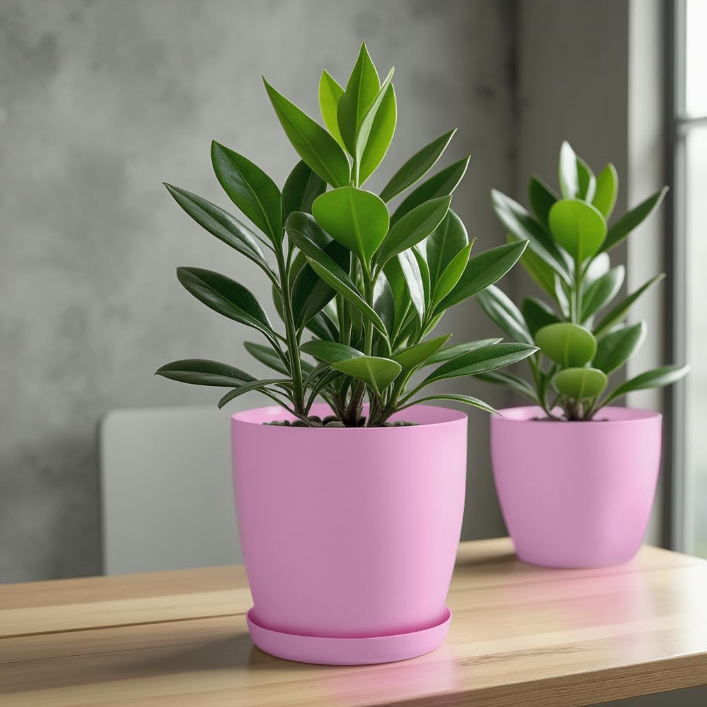 KADAX Maceta con Plato y Plato para Cactus, helechos (30 cm, Rosa) — view 6