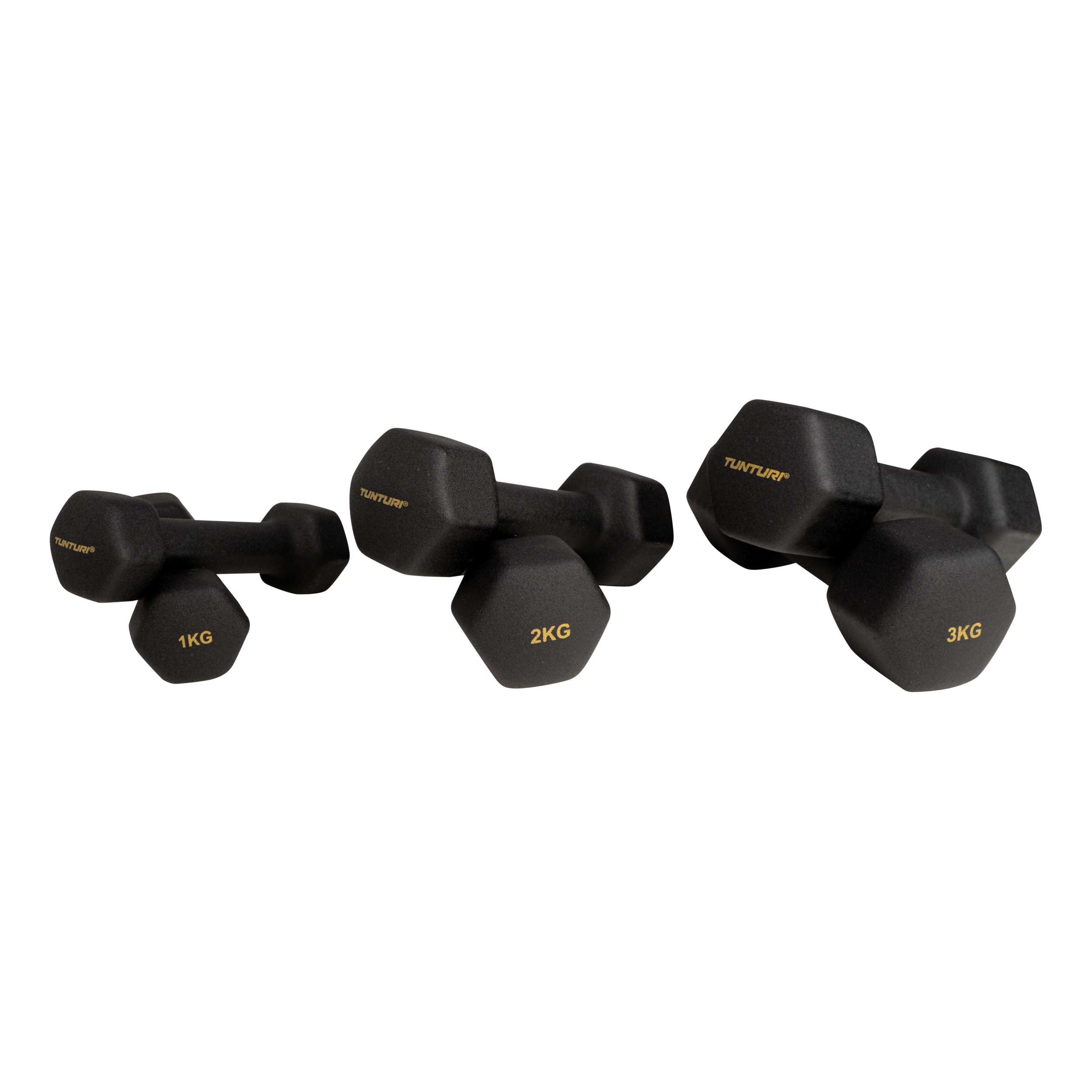 Tunturi Centuri 6er Set Kurzhanteln mit Rack, Hantelset mit je 2 x 1 kg, 2 kg, 3 kg, Kurzhantelset, Hanteln aus Gusseisen