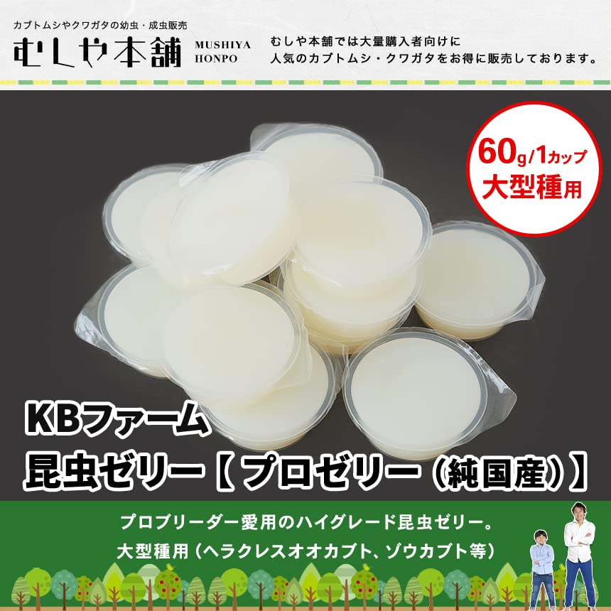 Amazon | 出荷/販売元：むしや本舗 【プロゼリー（ KBファーム社製）純