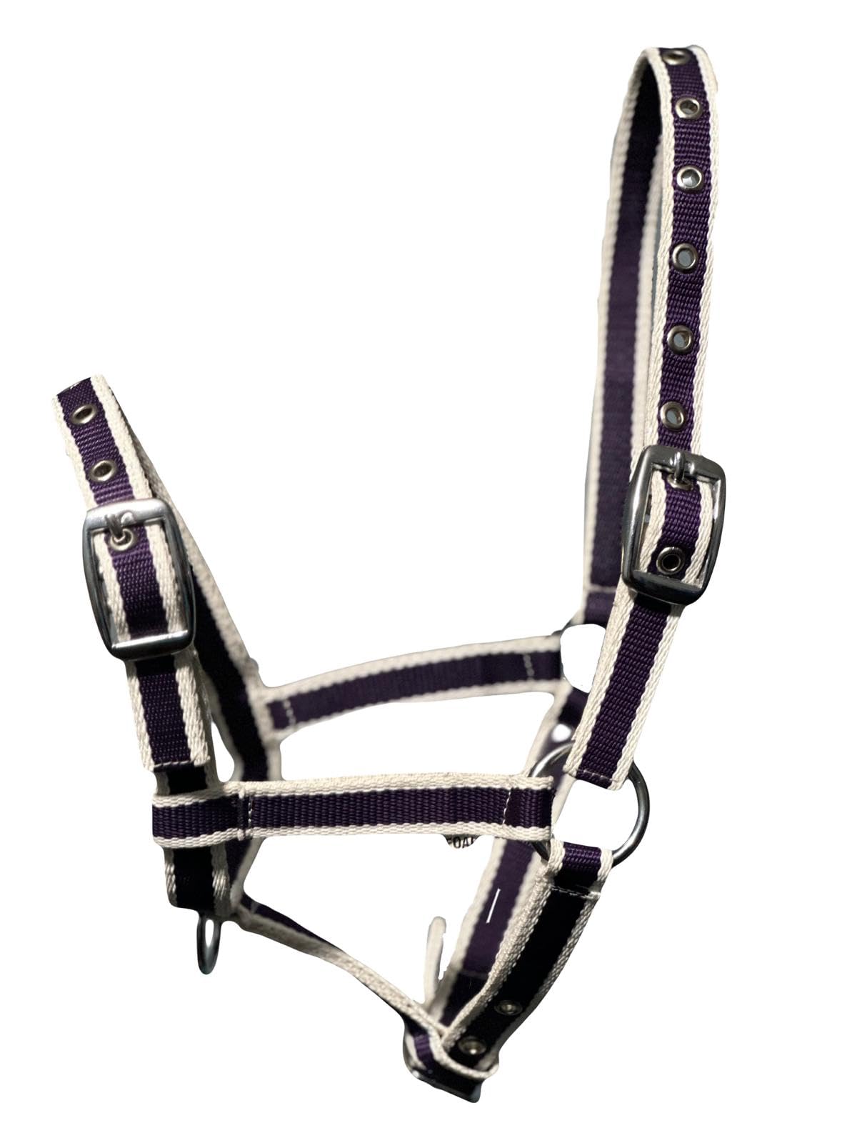 Equipride FOAL HEADCOLLAR HALTER MULTI ADUSTABLE IN 10 AMAZING COLOUR (Purple/White) — image 1