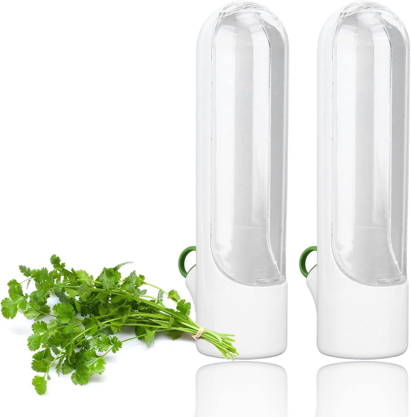 Herb Keeper, Herb Saver, Cilantro Container, Herb Storage