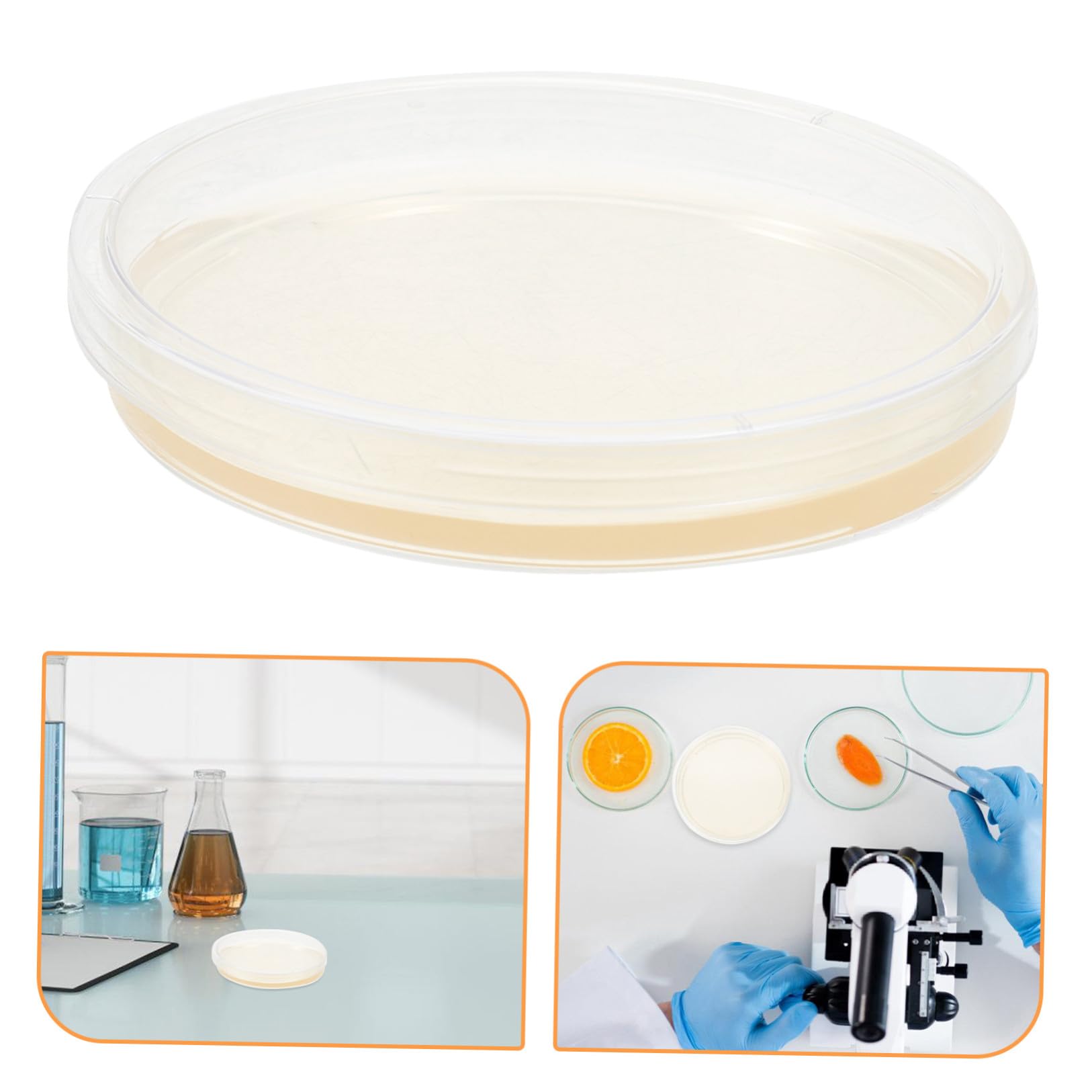 HEMOTON 20 Pezzi Piastre di Petri Agar Nutritivo Preprefatto 9 Cm Rotonde in Plastica Ps per Esperimenti Scientifici di Laboratorio e Coltivazione di Funghi