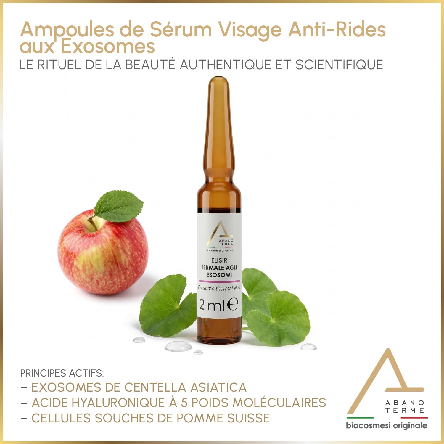 12 Ampoules Sérum Visage Effet Lifting Immédiat et Combleur de Rides - Acide Hyaluronique Pur et Exosomes de Centella, Soin Anti-Âge Puissant, Contour des Yeux, Skincare Bio et Cruelty Free