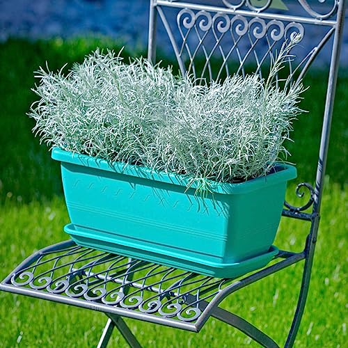 Euro3plast Inis Blumenkasten mit Untersetzer aus Kunstoff in der Farbe...