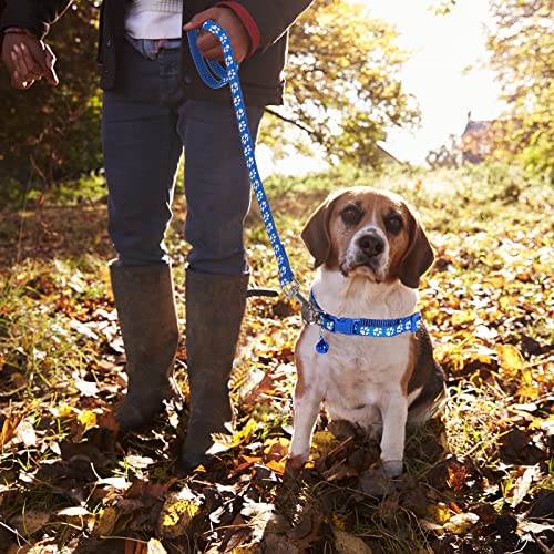 Molain 2-teiliges Hundehalsband und Leine Set, verstellbares Hundehalsband mit Leine, Schnellverschluss, Schnallenhalsband für kleine Hunde, Katzen, Welpen, Kätzchen (Blau+Rot)