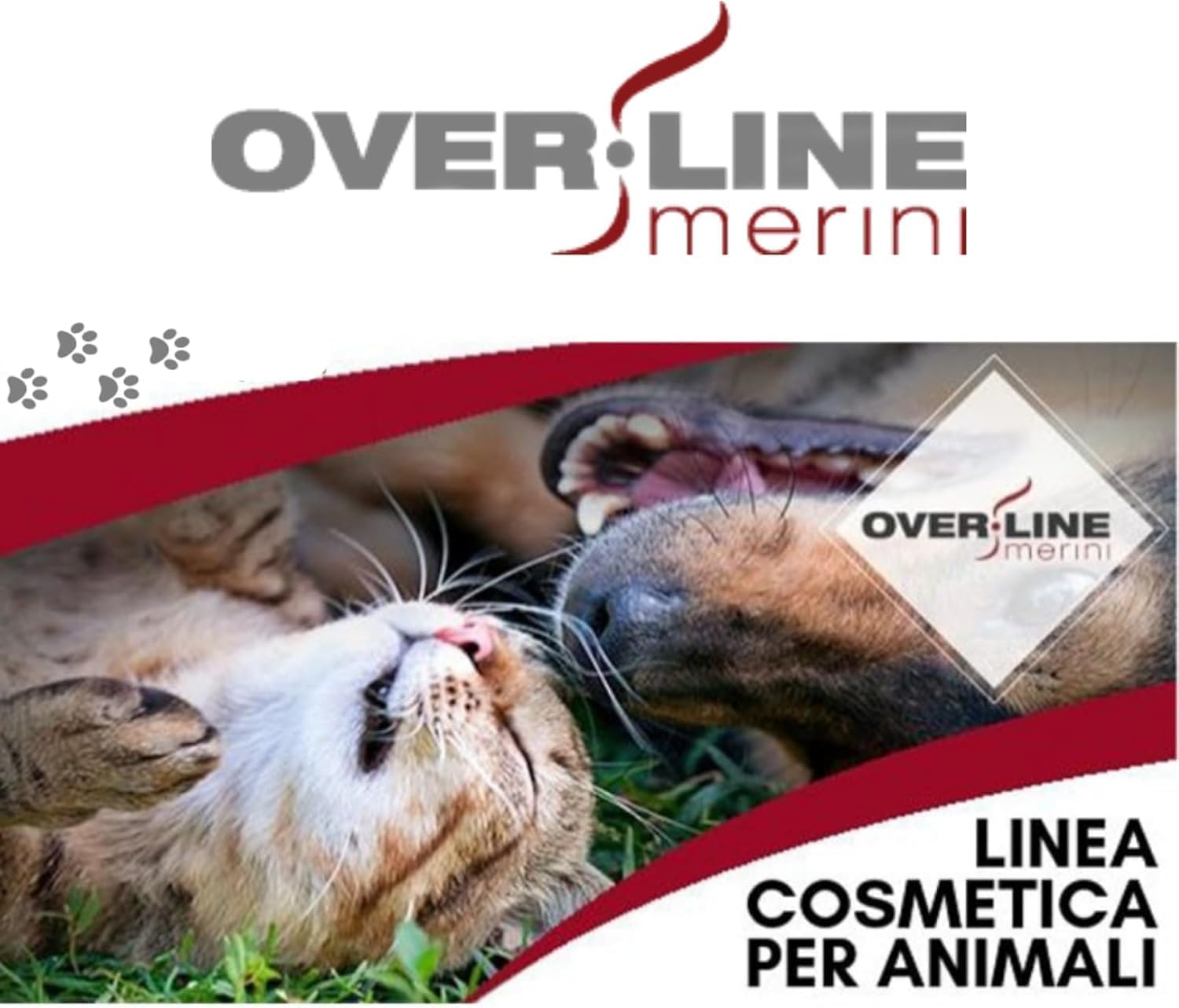 OVER LINE MERINI | Hundeshampoo mit Ozon 1 Liter – Milde Reinigung für empfindliche Haut – Unterstützt bei Juckreiz und Hautirritationen – Für die regelmäßige Anwendung geeignet