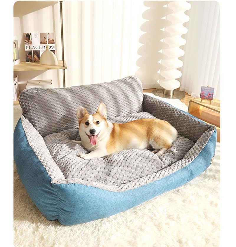 Amazon | HZYSHH 枕付きみ付きペットベッド、洗える犬ベッド、猫