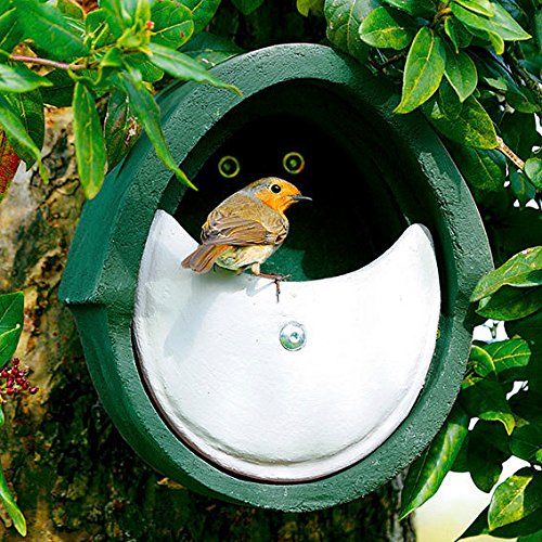 Preisvergleich Produktbild Gärtner Pötschke Nistkasten für Halbhöhlenbrüter