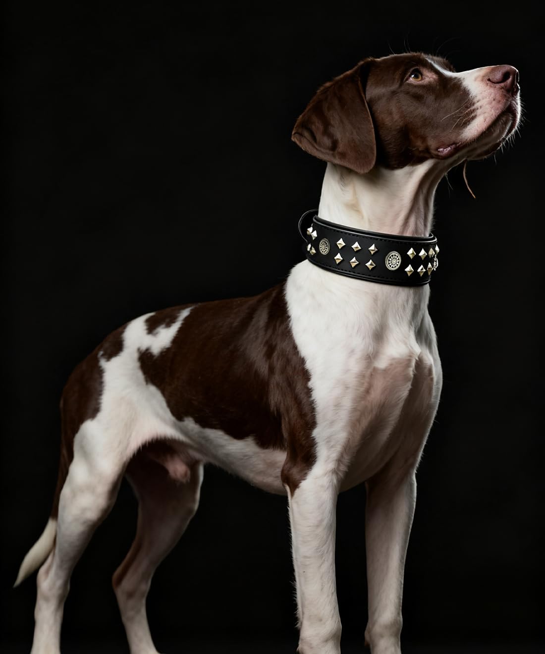 EliteGuard Collar de Perro de Cuero de 5,6 cm de ancho, hecho a mano con remaches y hebilla de acero inoxidable, para uso diario en perros grandes, color negro, 57,5-67,5 cm
