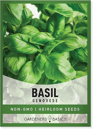 Miniatura 1 de Gardeners Basics Semillas de albahaca genovesa para plantar semillas de hierbas tradicionales sin OMG para el jardín de hierbas caseras son un gran