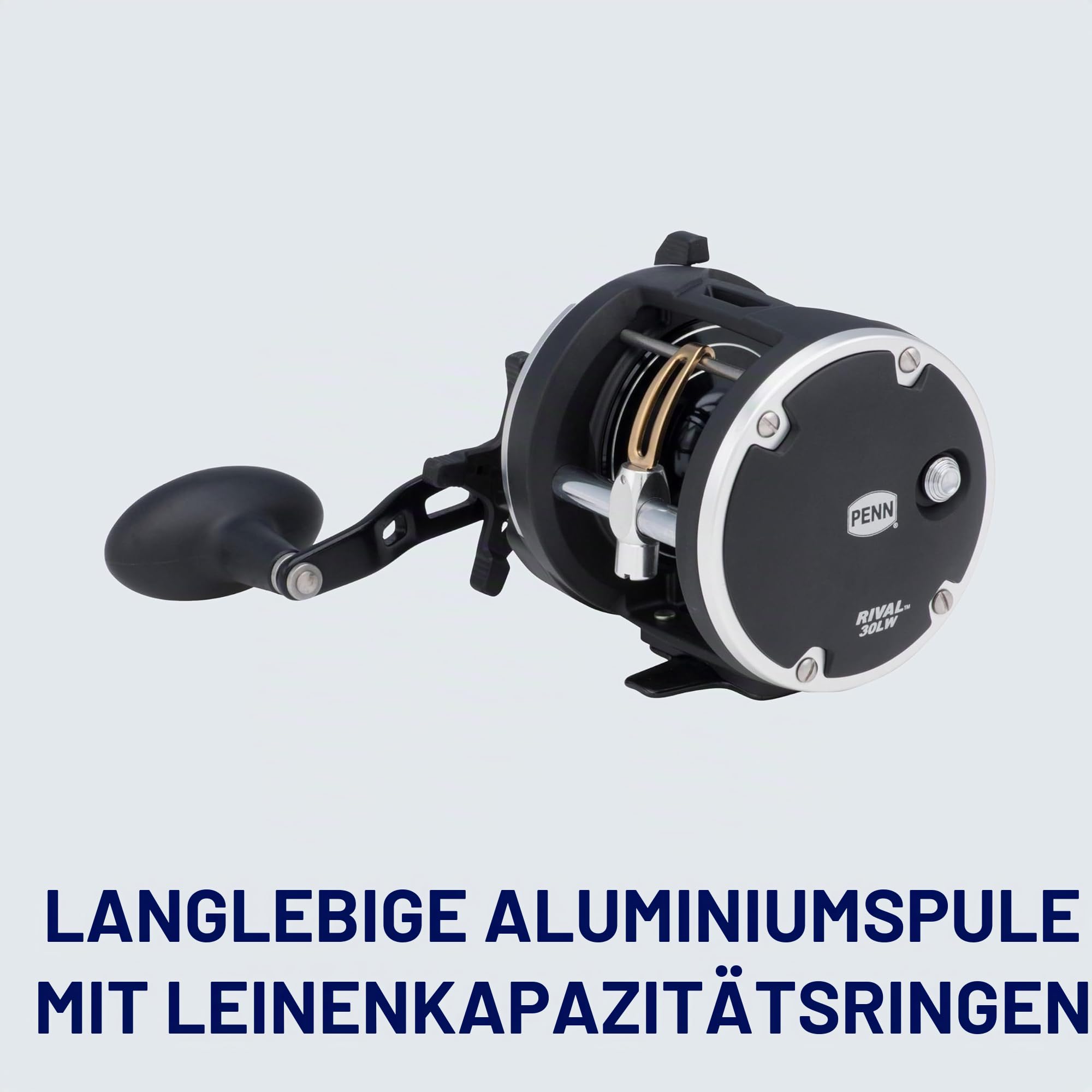 PENN Rival Level Wind Multirolle für Boote und Kajaks – Hochleistungs-Salzwasserrolle für Dorsch, Barsch, Plattfisch, Rochen, Glatthai, Seelachs