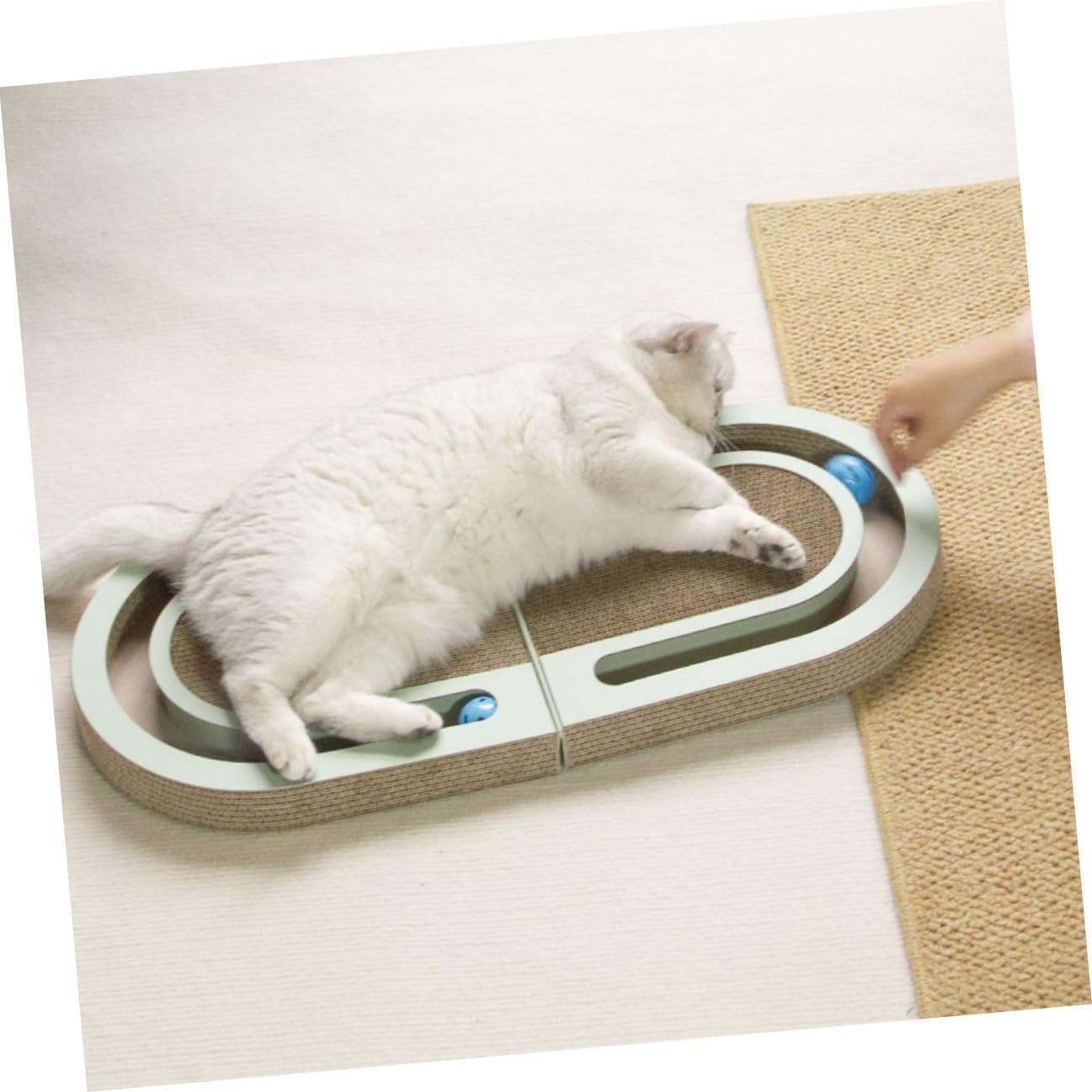 Cat Scratcher Board Foldable Corrugated Paper with Built-in Ball Floor Scratch Pad Small Reusable Indoor Kitten for Cats
