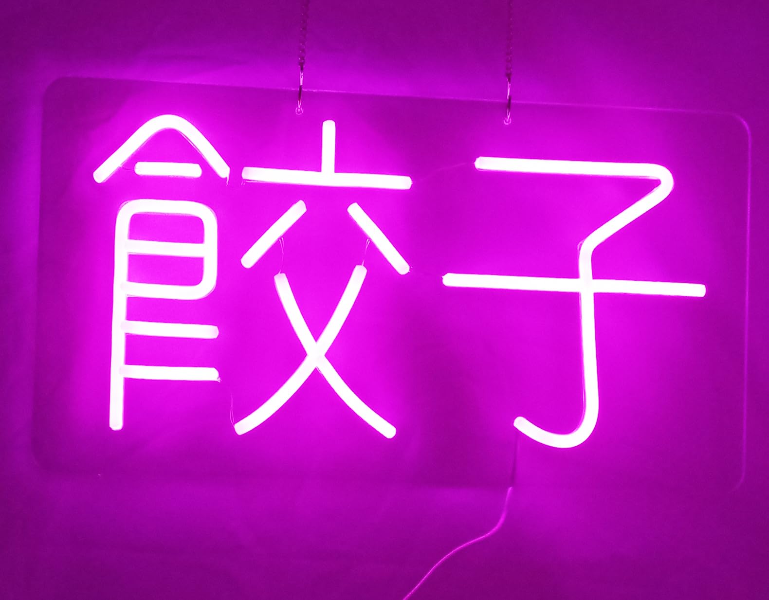 Amazon.co.jp: 「縁錦∞Enえんきki」ネオンライト 餃子 LED ネオン