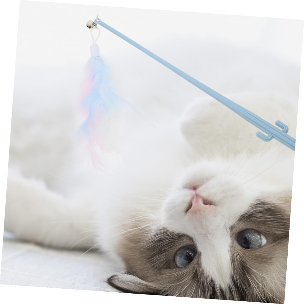 YARNOW 20pièces Canne à Teaser pour Chat avec Plume Jouet Interactif pour Intérieur Et Extérieur Et Engagé