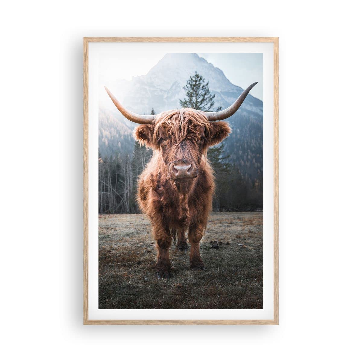 ARTTOR Poster Cadre Chêne 61x91 cm Affiche Nature Animaux - 5188 - P2N