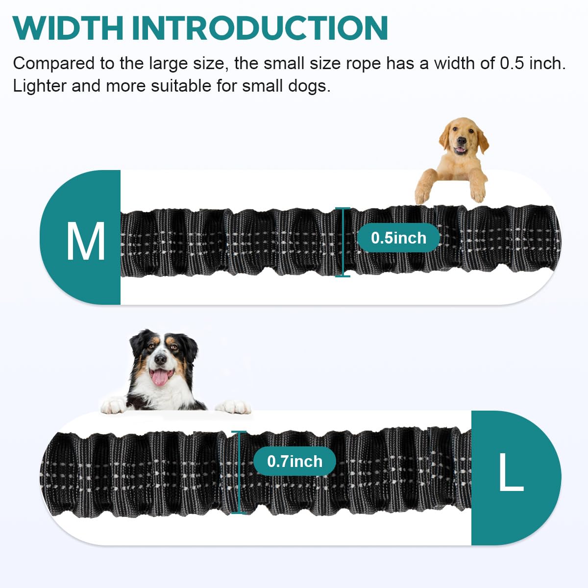 Hands Free Dog Leash with Pouch, Double Leash for Two Dogs, Retractable Bungee with Double Padded Handles, Waist for Dog Walking, Running for Dogs, Dog Walking Accessories: Grey-Green Midum Size Medium 2 Leashes