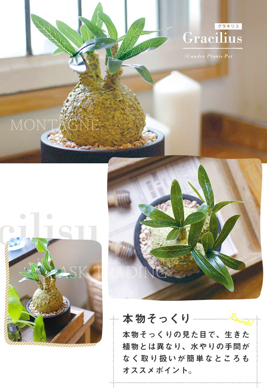 Amazon｜フェイクグリーン コーデックスL CT触媒 人工観葉植物 抗菌 消