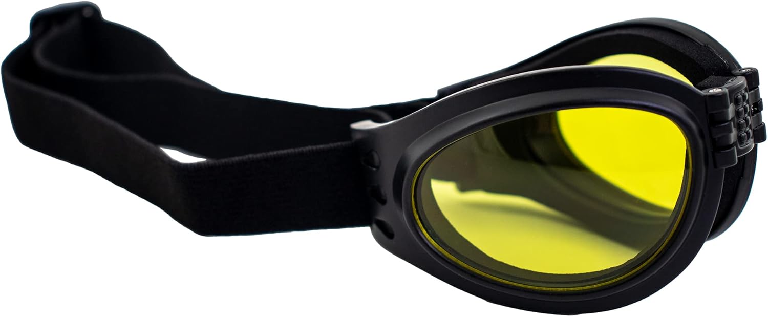 2 Pairs of Birdz Eyewear Parrot Black Folding Padded Motorcycle Goggles Clear & Smoke Lenses for Men & Women