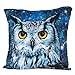 Produktbild cosey Kissenbezug 45x45, Kissenhülle mit Motiv für Dekokissen, Sofakissen  Verschiedene Motive Polyester D9 Space Owl