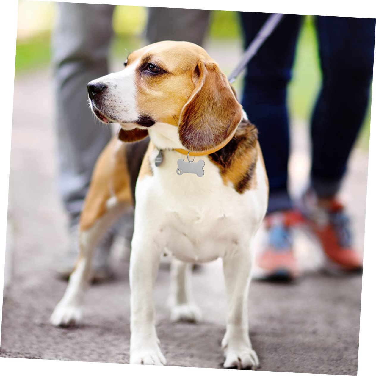 UPKOCH 30 Stck Hundemarken Pfotenform Haustier Adressanhänger Gravur Namensschild für Welpen Zubehör Langlebig Kratzfest