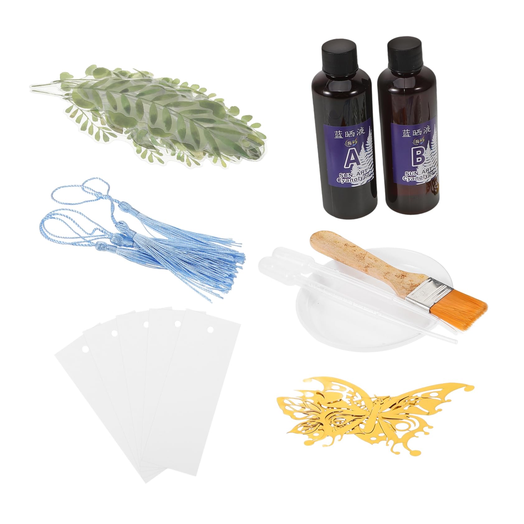 TEHAUX Cyanotype Supplies DIY Cyanotype Kit Gloves Apron Liquid Pigments Craft Accessory