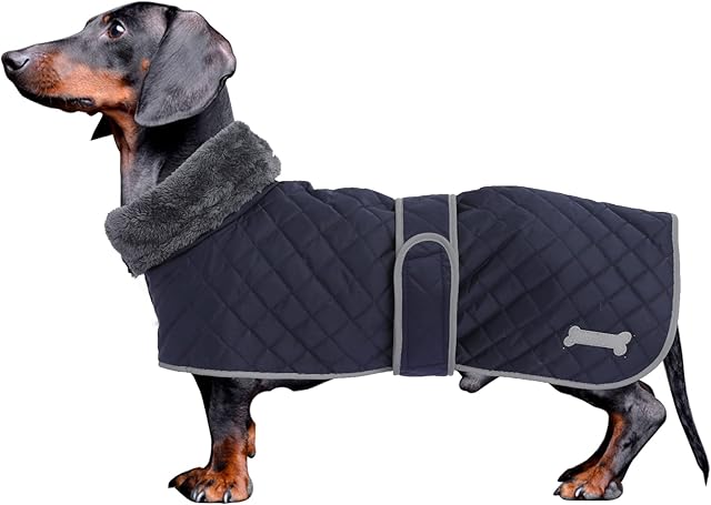 Personalised dachshund dog coats sausage jacket perfect for dachshunds, corgi, weiner, dog winter coat with padded fleece lining and high collar, dog snowsuit with adjustable bands - Navy - Large