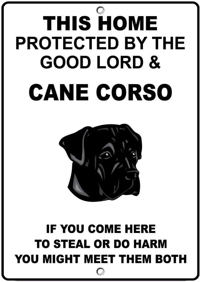 Cane Corso Dog Home Protected by Good Lord and Novelty Metal Sign 8" X 12" inch;
