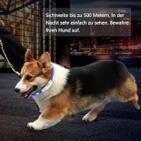 Zacro USB Tölthető Világító Nyakörv Kutyáknak és Macskáknak - 2 db-os Szett, 3 Féle Fénymóddal, Állítható Méret, Éjszakai Biztonság 5