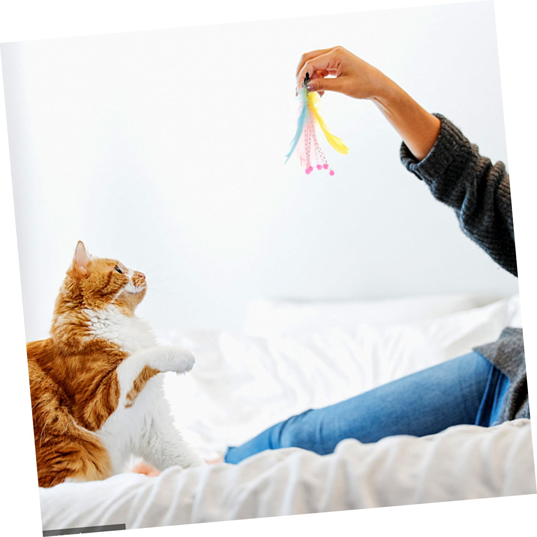 Kisangel 24pièces Jouets à Canne Multifonction pour Chats Remplacements De Plumes Interactives pour Jouets à Filer Teaser