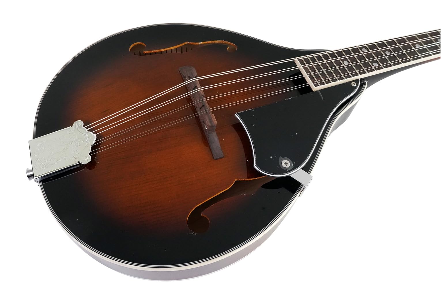 Amazon.co.jp: Blanton フラットマンドリン Aモデル ソリッドトップ