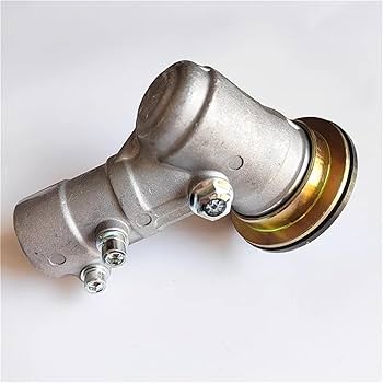 61LtwVdujDL._AC_UF350,