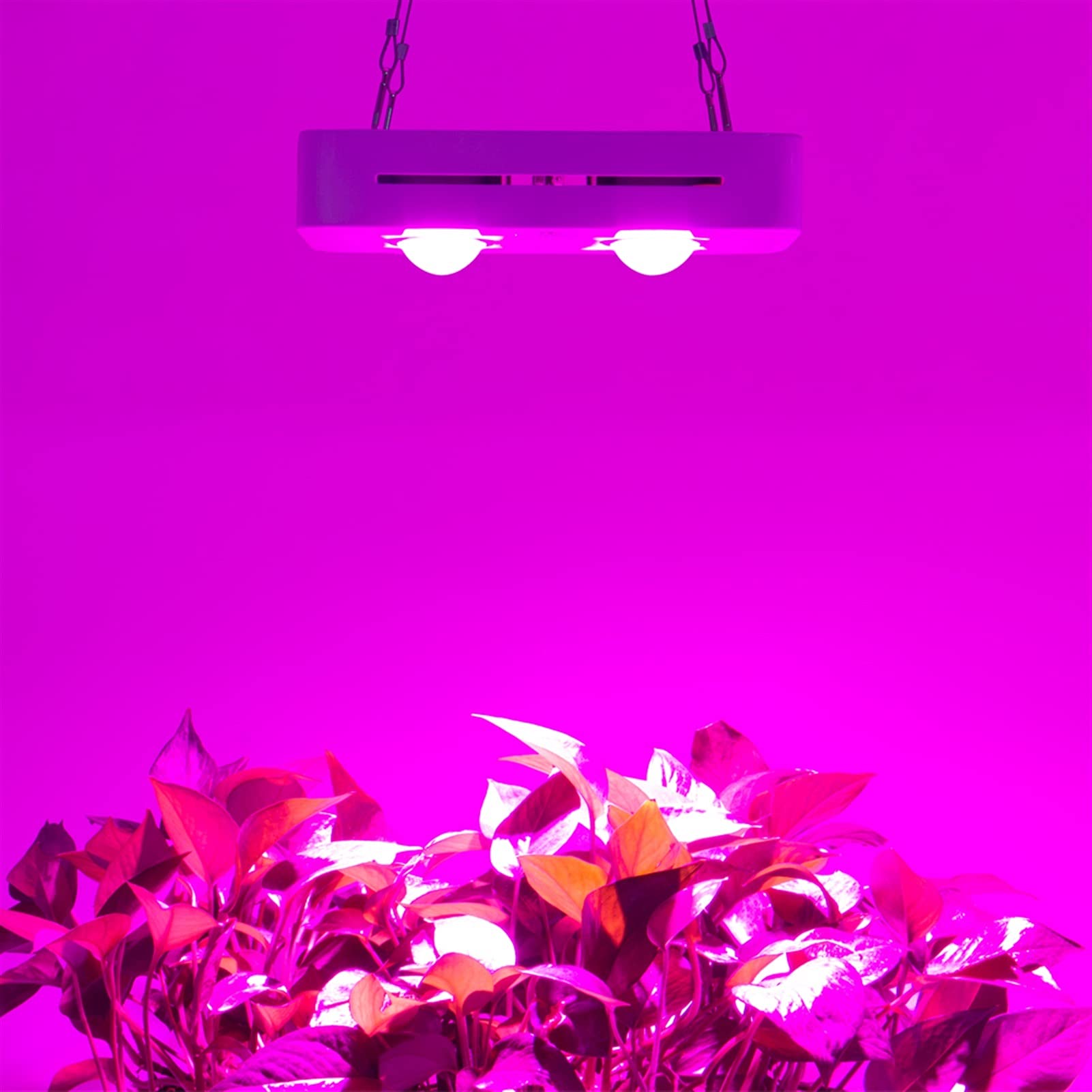 Lampe végétale LED Grow Grow Light Spectrum complet pour une plante de serre hydroponique intérieure Toutes la croissance de la scène remplace la lampe en croissance lumières en croissance pour les pl