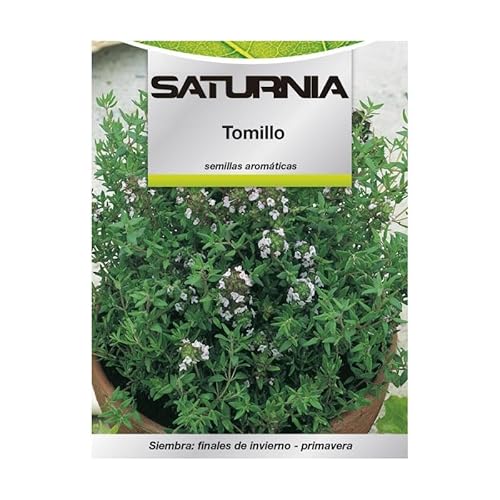 Semillas aromaticas tomillo (1 gramo) horticultura, horticola, semillas huerto.