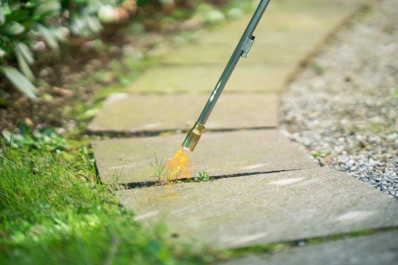 ROTHENBERGER Désherbeur industriel avec 1 cartouche de gaz de 600 ml pour le jardin comme désherbant | Température de la flamme 940 °C | Brûleur à gaz | Allumeur piézo | 1000000189