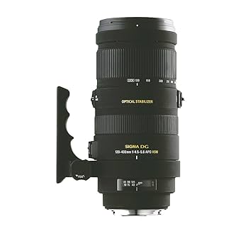 美品の超望遠 SIGMA APO 120-400mm DG OS HSM ソニー Amazon.co.jp: シグマ APO 120-400mm F4.5-5.6 DG HSM