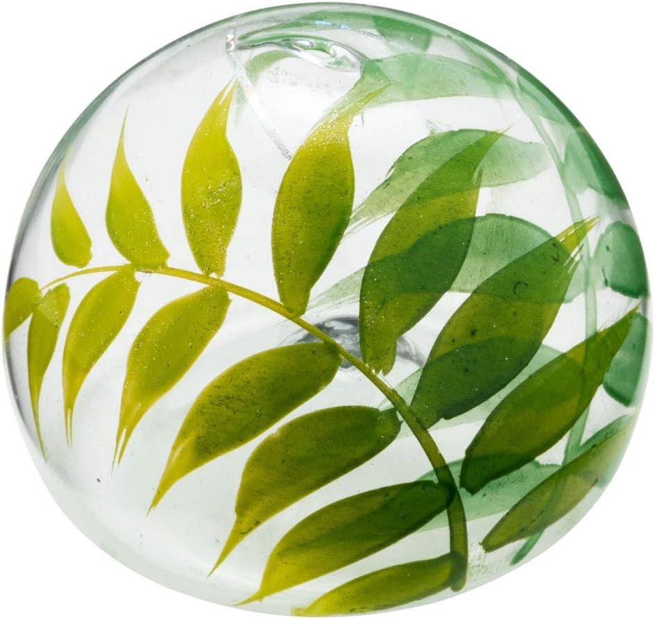 Amazon Co Jp ビードロ浮き玉 小 水に浮かべて涼を感じるインテリア 木之本 福島県の工芸品 Glass Float Fukushima Craft あじさい おもちゃ Amazon Co Jp ビードロ浮き玉 小 水に浮かべて涼を感じるインテリア 木之本 福島県の工芸品 Glass Float Fukushima Craft あじさい おもちゃ