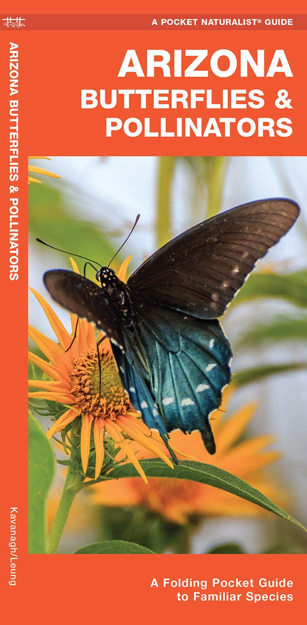 Arizona Butterflies & Pollinators: A Folding Pocket Guide to Familiar Species (on) (Nature Observation North America)