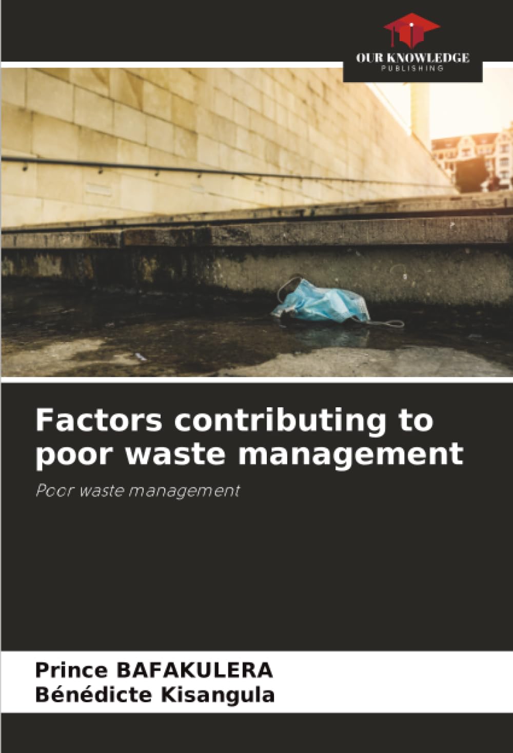 Factors contributing to poor waste management: Poor waste management