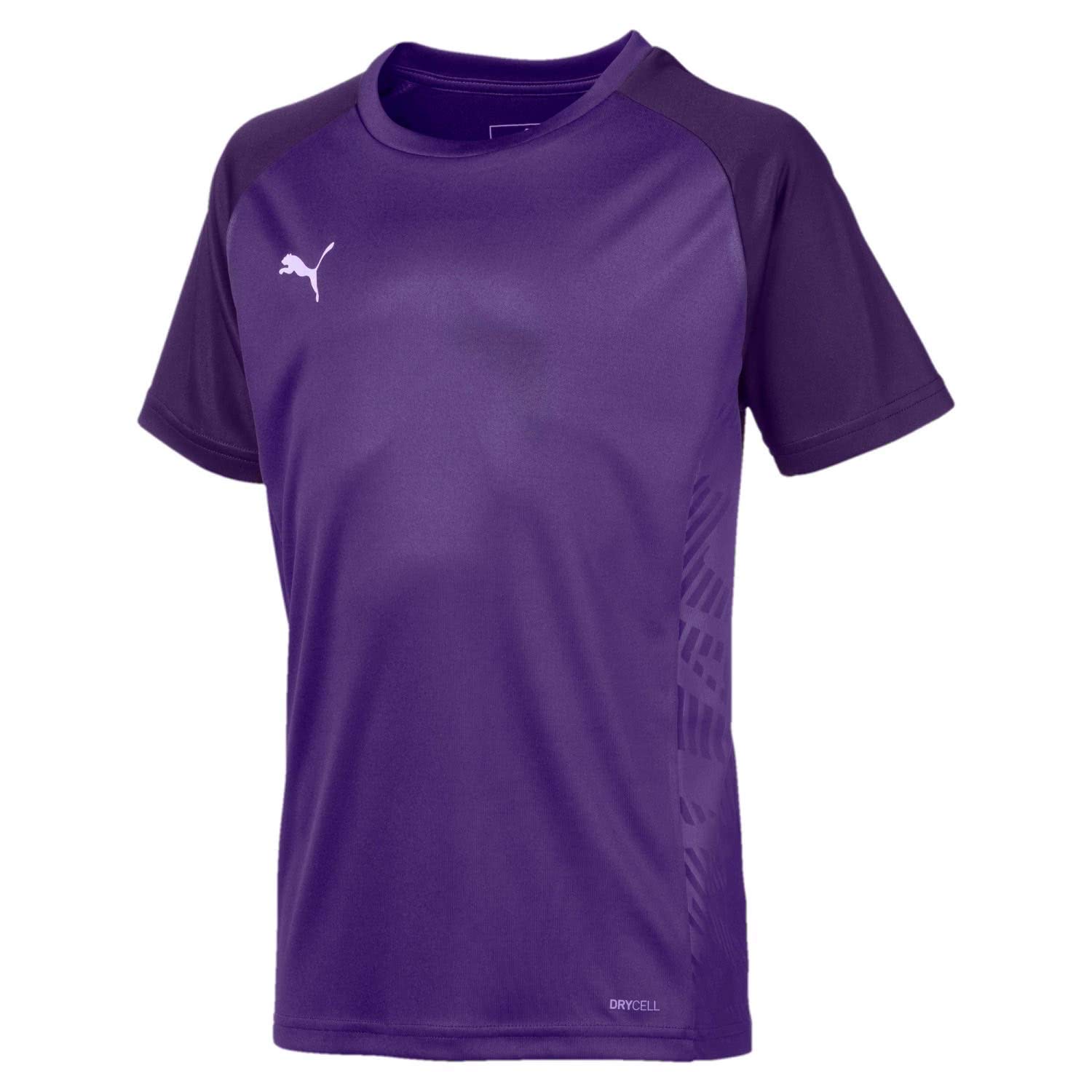 PUMA Cup Sideline Tee Core Jr, Prism Violet/Parachute Purple, 116