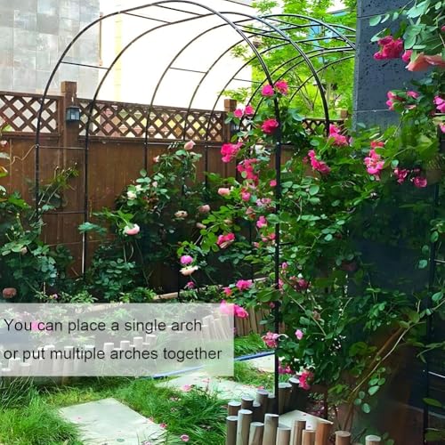 Support pour plantes grimpantes 120cm à 280cm et arche grand format - 5