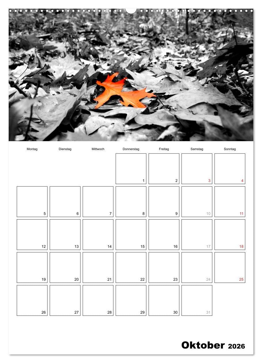 schwarz/weiß trifft farbe - DEIN TERMINKALENDER/Planer (hochwertiger Premium Wandkalender 2026 DIN A2 hoch), Kunstdruck in Hochglanz: Ein ... Fotos den besonderen Look (CALVENDO Natur)