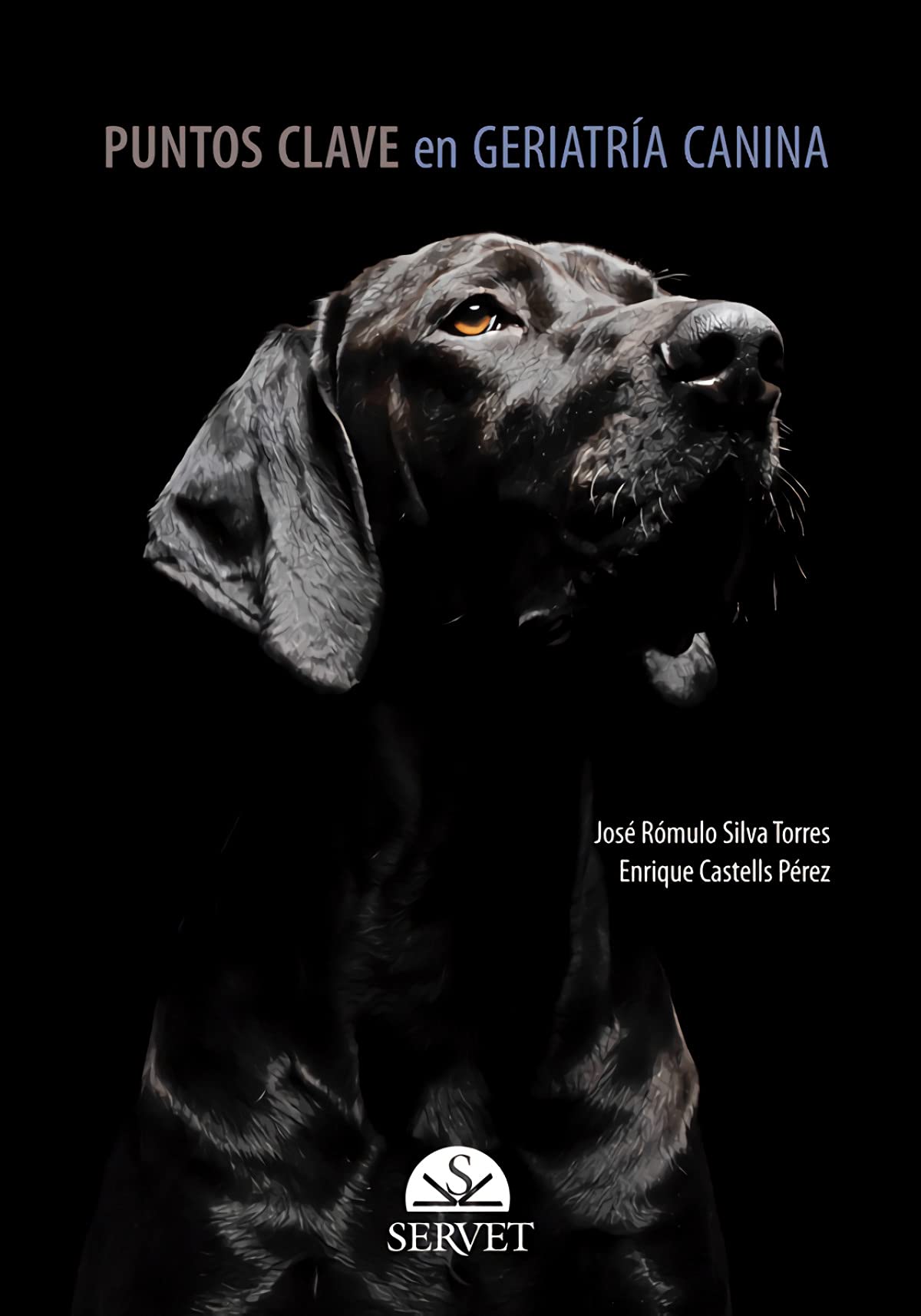 Buy Puntos Clave En Geriatría Canina — BookShops.in