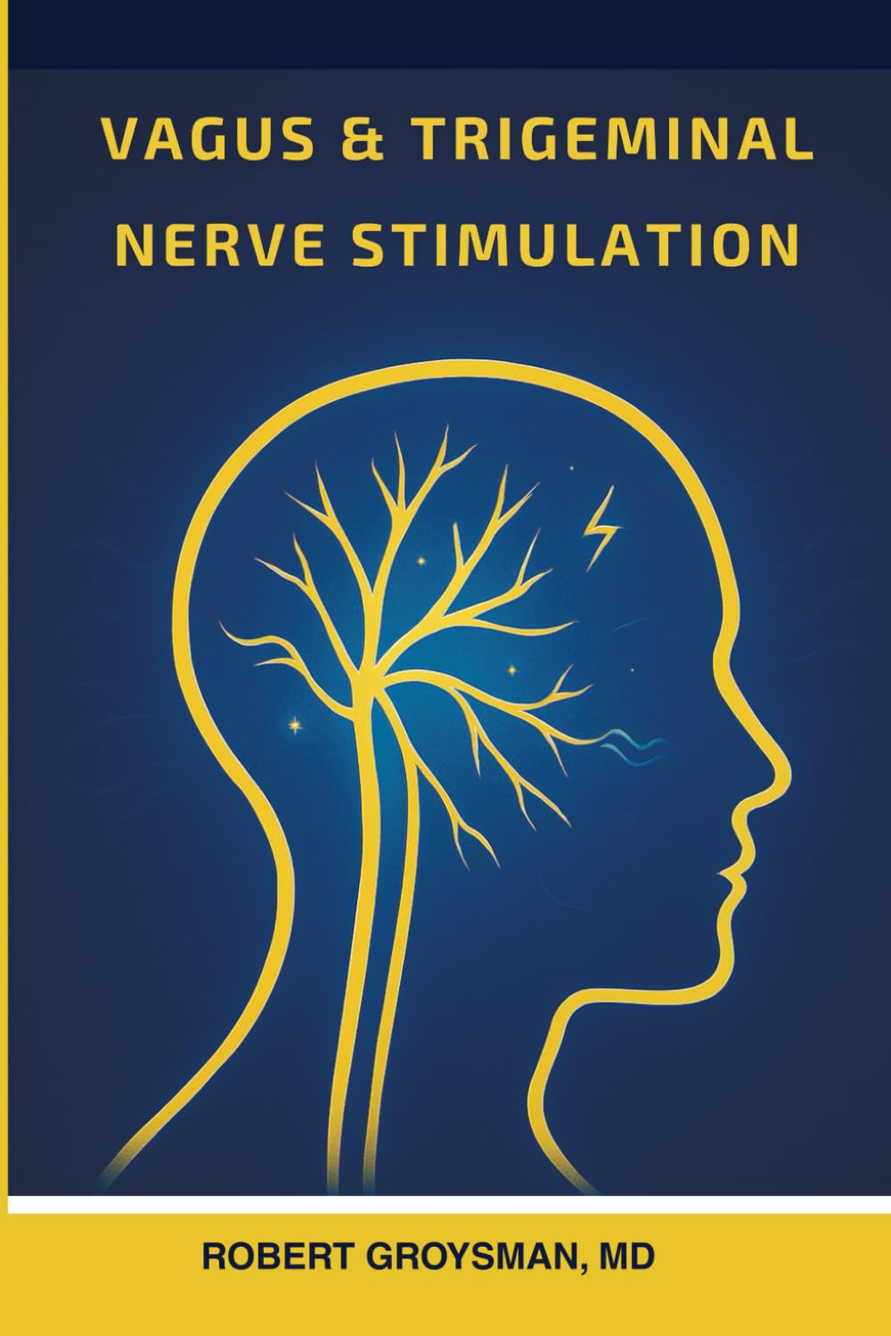 Vagus & Trigeminal Nerve Stimulation (The Complete Long COVID Handbook Series)