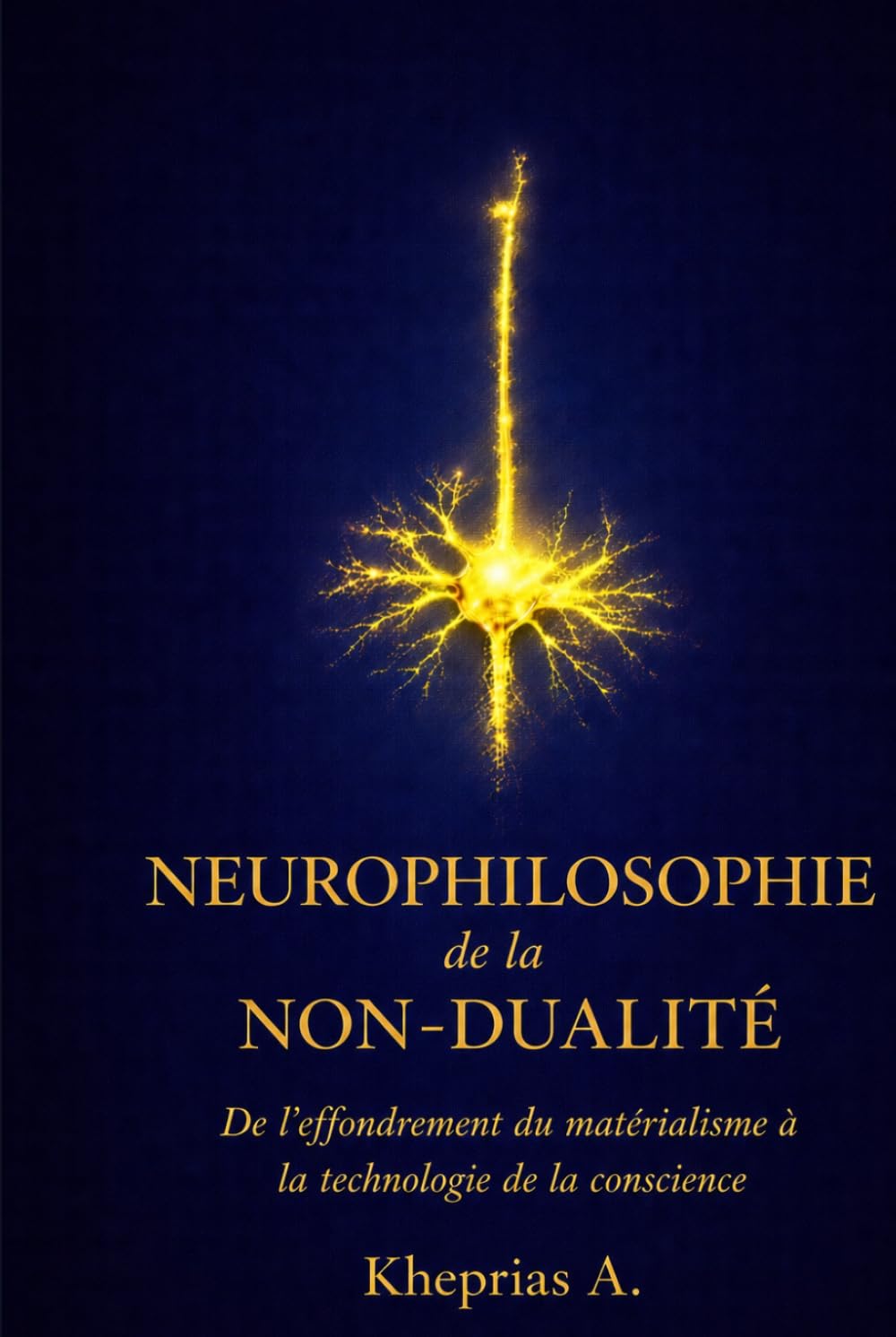 Neurophilosophie de la non-dualité: De l’effondrement du matérialisme à la technologie de la conscience (T-Reality – Philosophie de l’esprit et neurophilosophie)