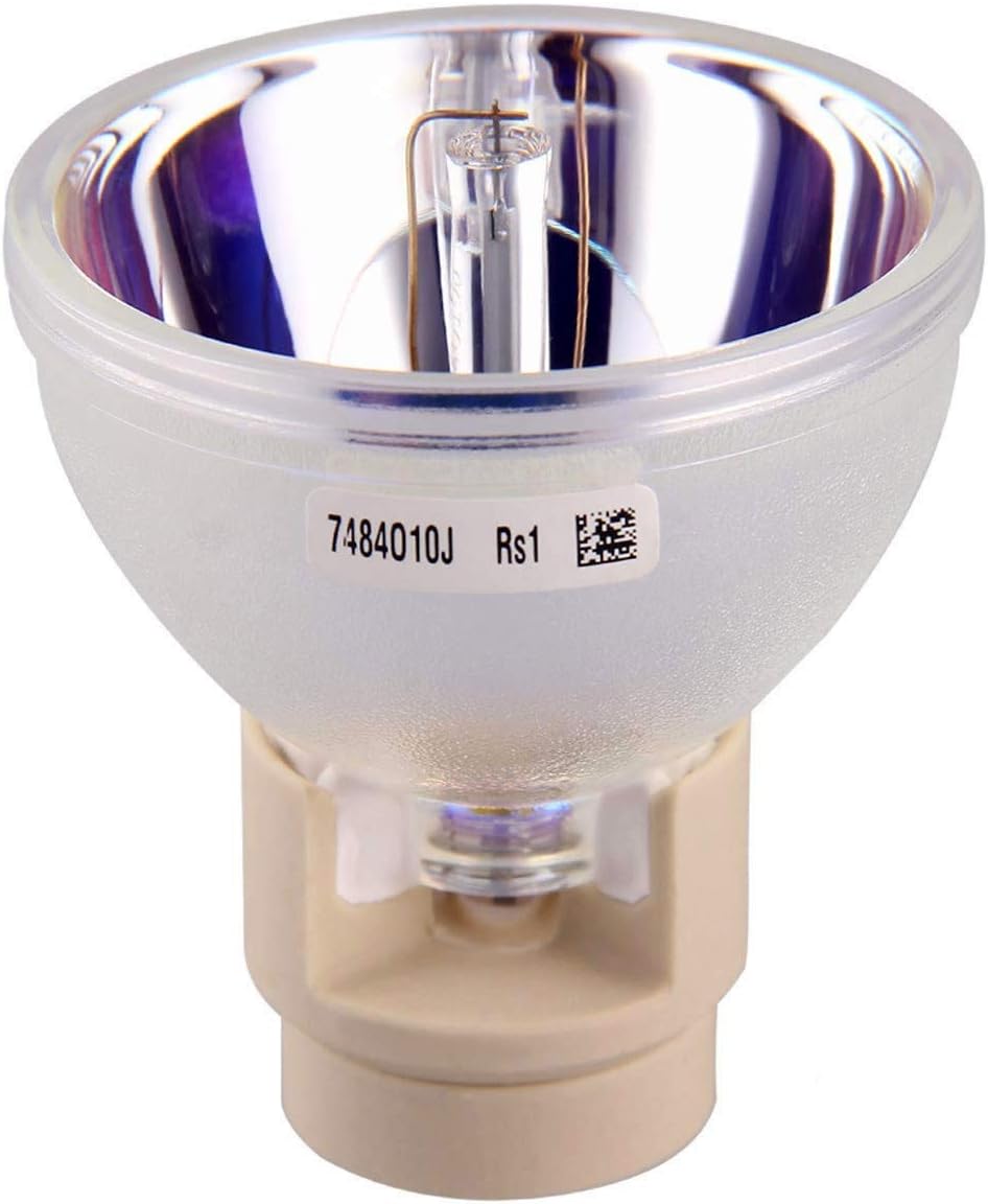 Replacement Projector Lamp RLC-101 RLC101 Replacement Projector Lamp Compatible with Viewsonic PRO7827HD PJD7836HDL Projectors Projector Lamp Bulb(RLC 101 CB)