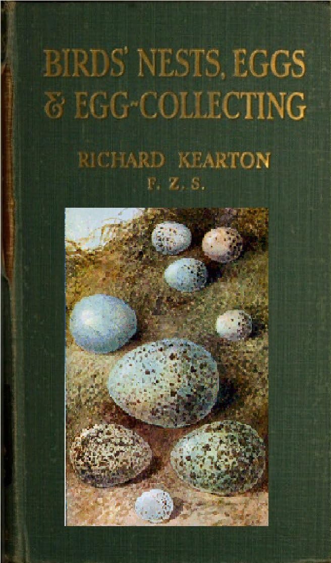Birds' Nests, Eggs and Egg-Collecting