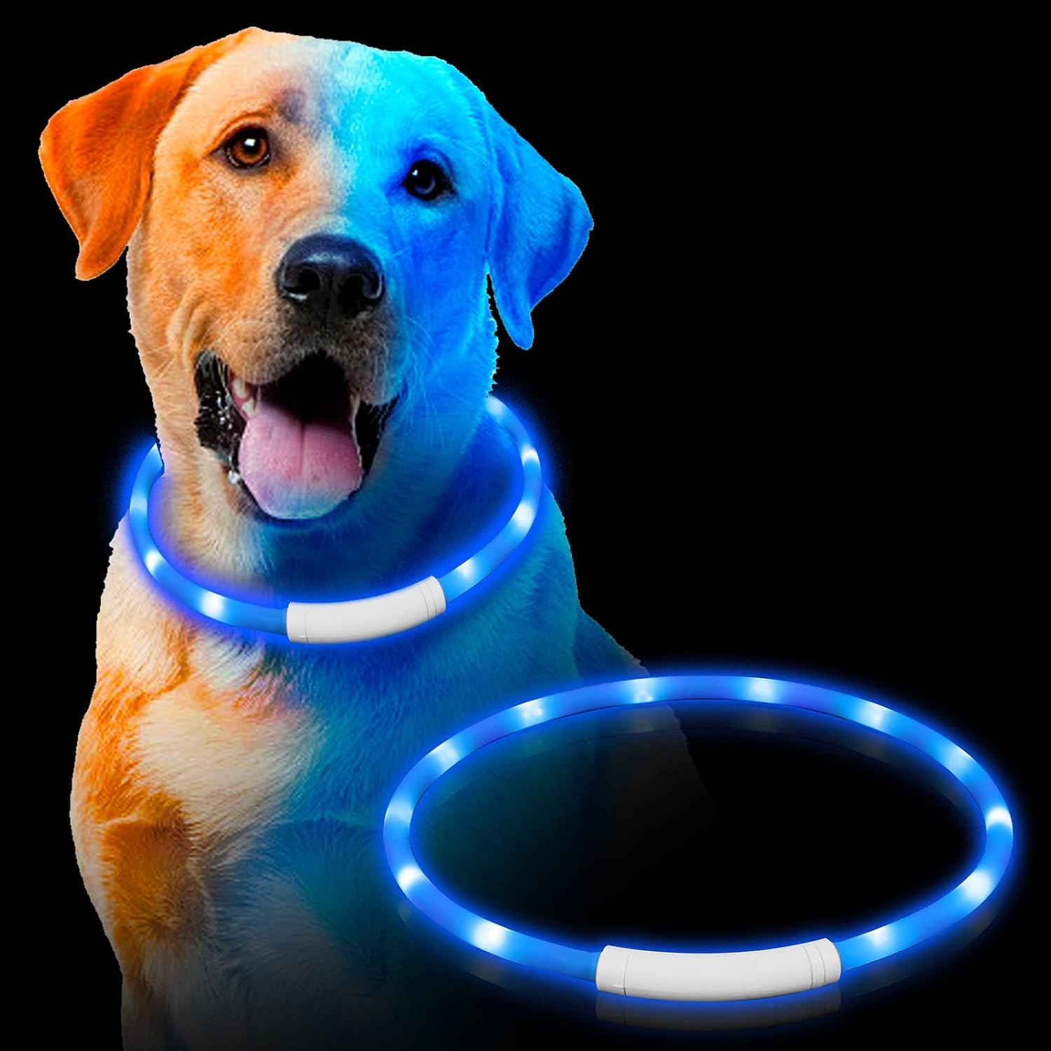 Light Up Dog Collar,Dog Light Up Collar for Small Meduim Large Dogs,Dog